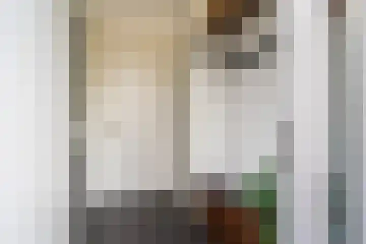Peelven 13 Deurne thumbnail 5