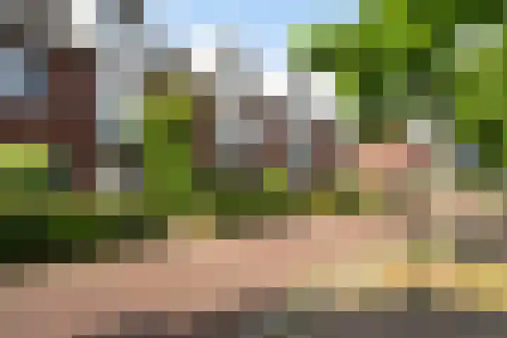 Peelven 13 Deurne thumbnail 51