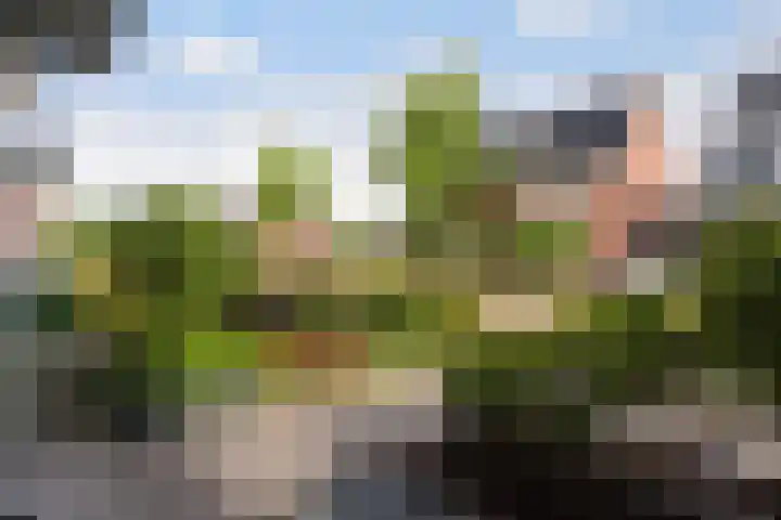 Peelven 13 Deurne thumbnail 52