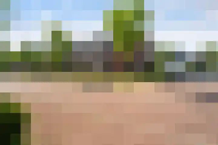 Peelven 13 Deurne thumbnail 53