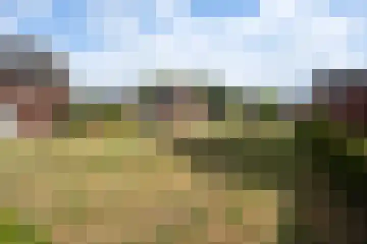 Peelven 13 Deurne thumbnail 54