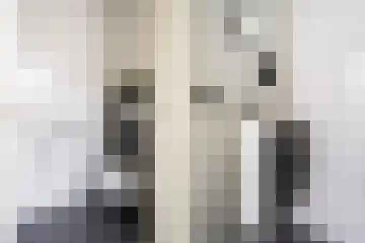 Peelven 13 Deurne thumbnail 6