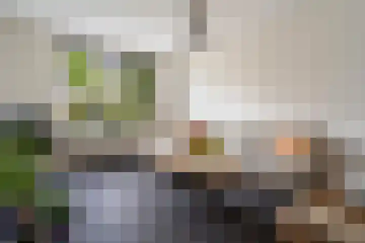 Peelven 13 Deurne thumbnail 7