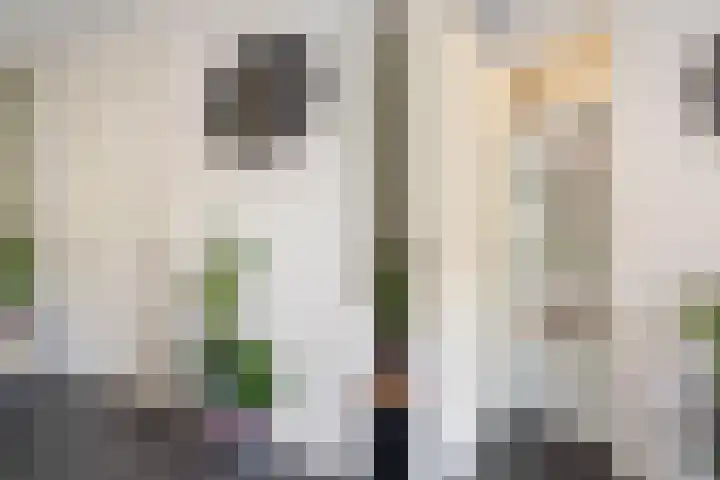 Peelven 13 Deurne thumbnail 9