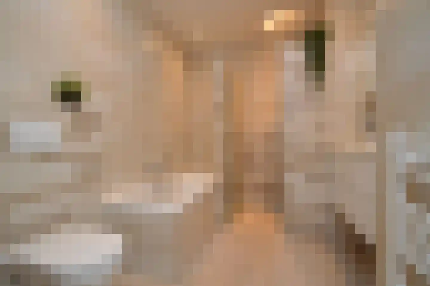 Peelven 15 Deurne thumbnail 15