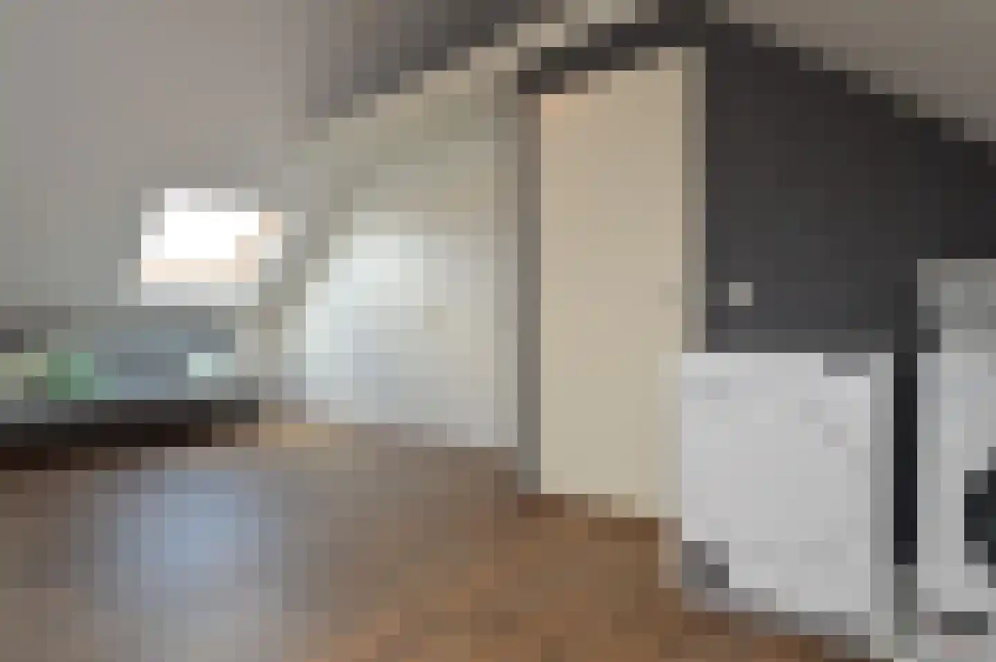 Peelven 15 Deurne thumbnail 18