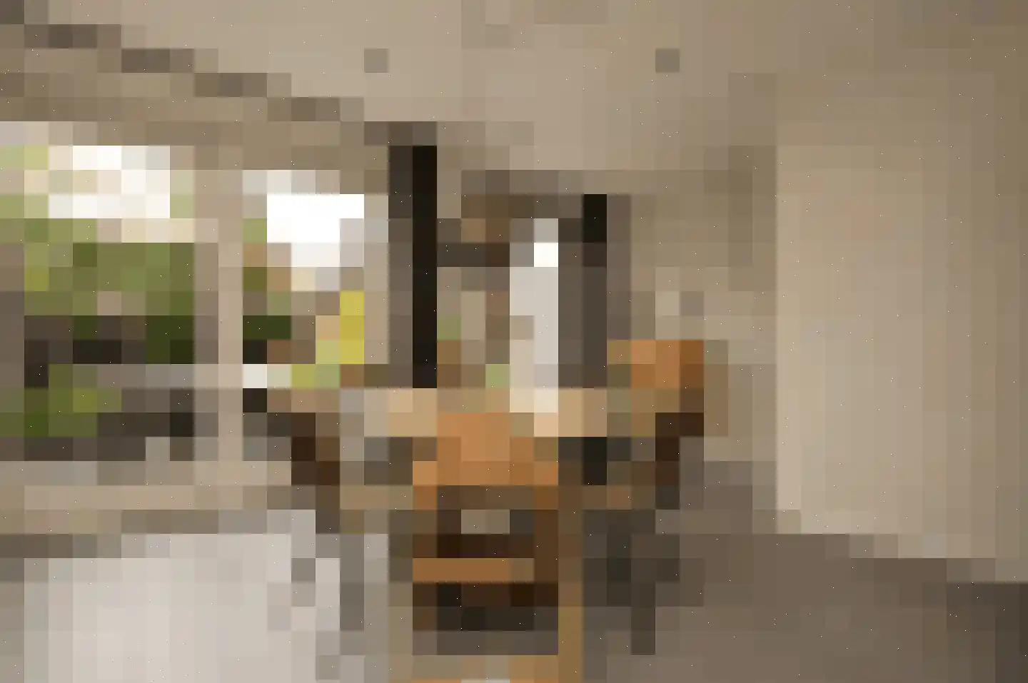 Peelven 15 Deurne thumbnail 6