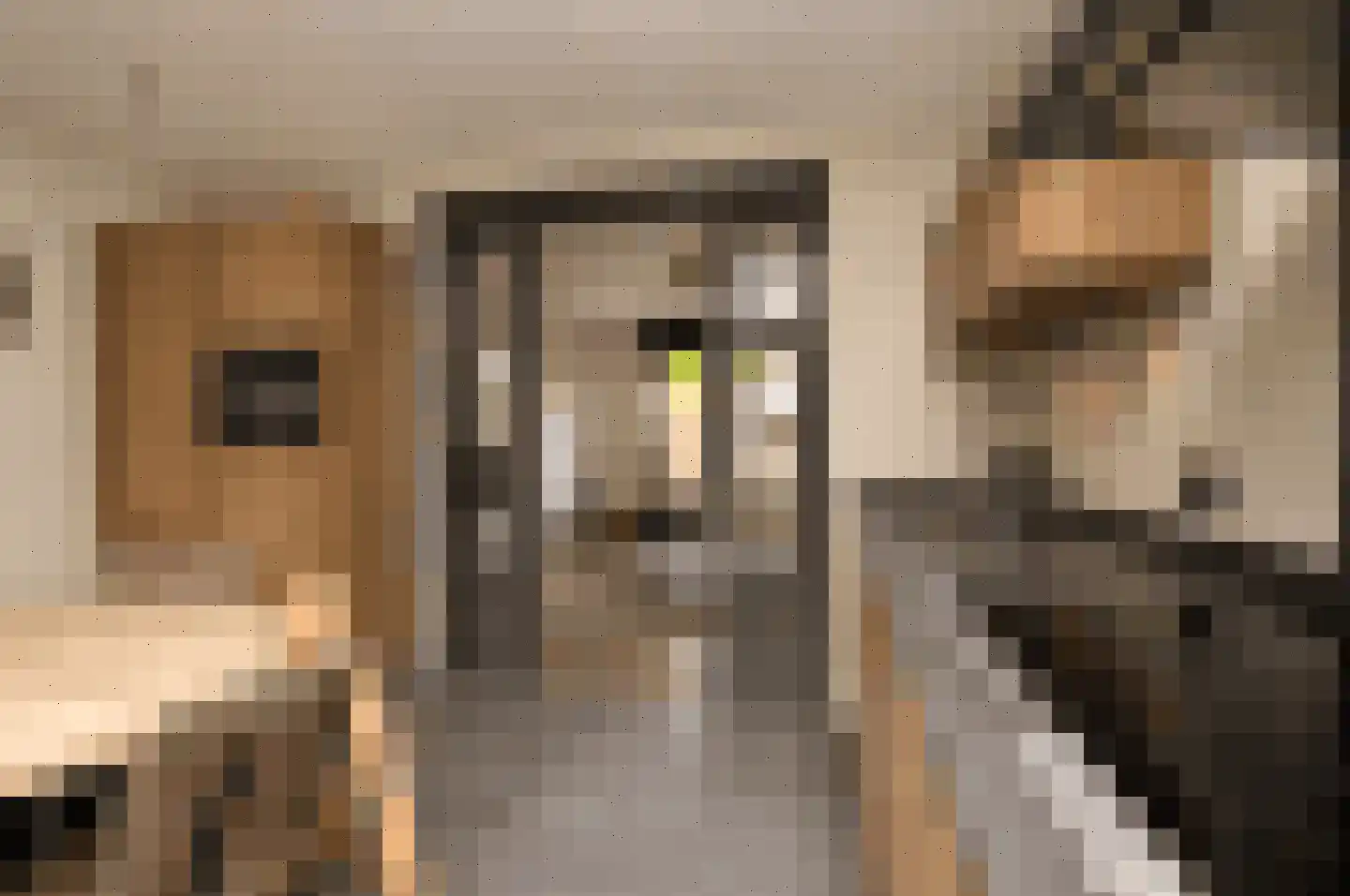 Peelven 15 Deurne thumbnail 7