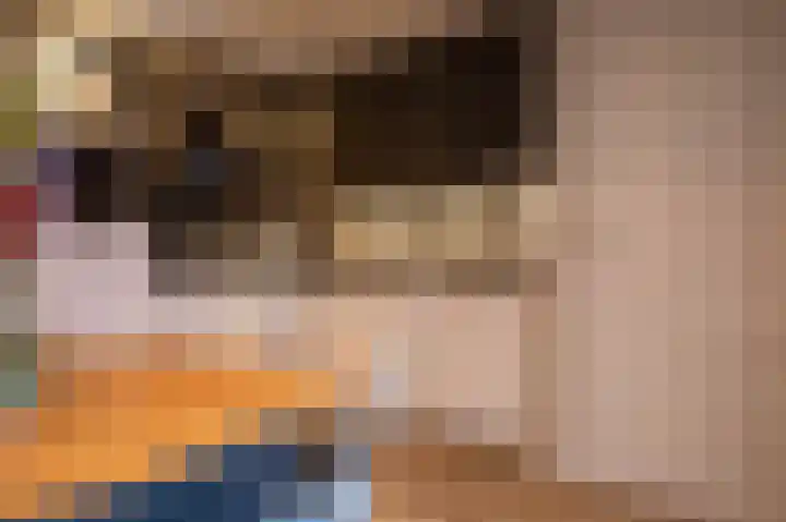 Peelven 25 Deurne thumbnail 14