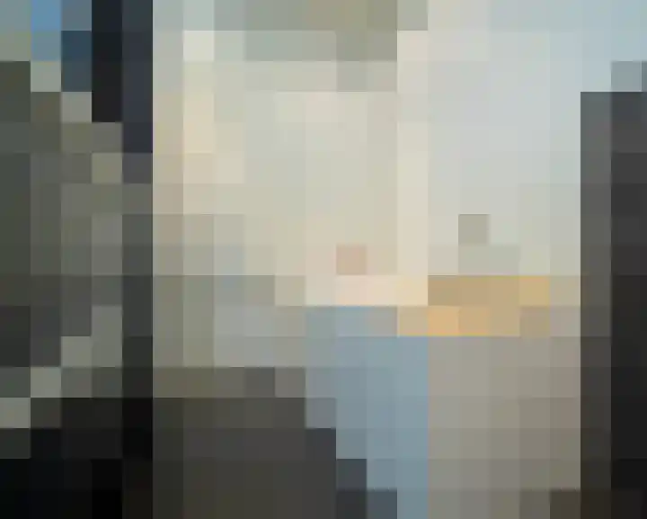 Peelven 25 Deurne thumbnail 32