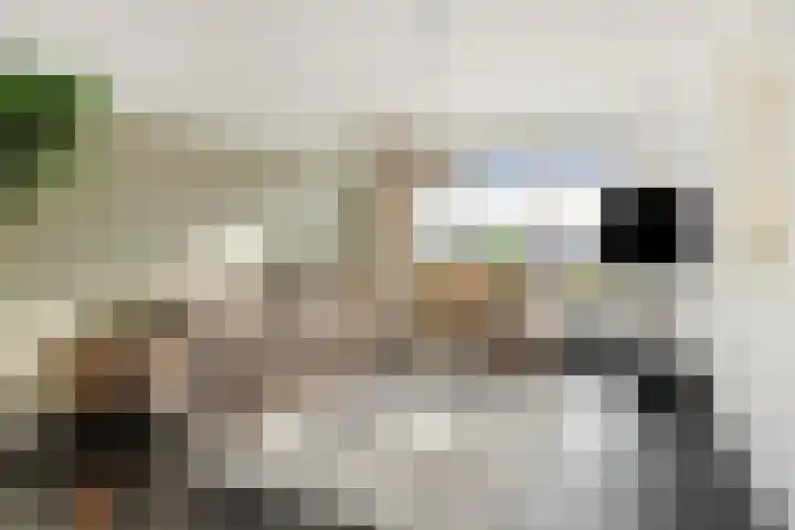 Peelven 36 Deurne thumbnail 10