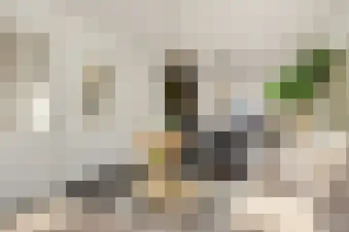 Peelven 36 Deurne thumbnail 12