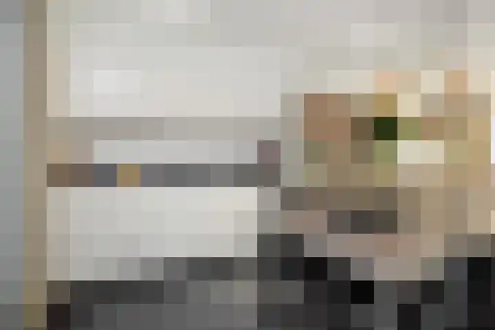 Peelven 36 Deurne thumbnail 14