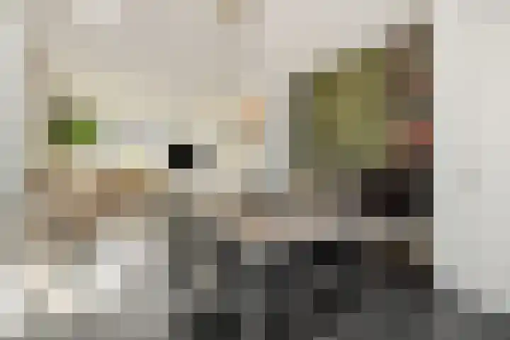 Peelven 36 Deurne thumbnail 15