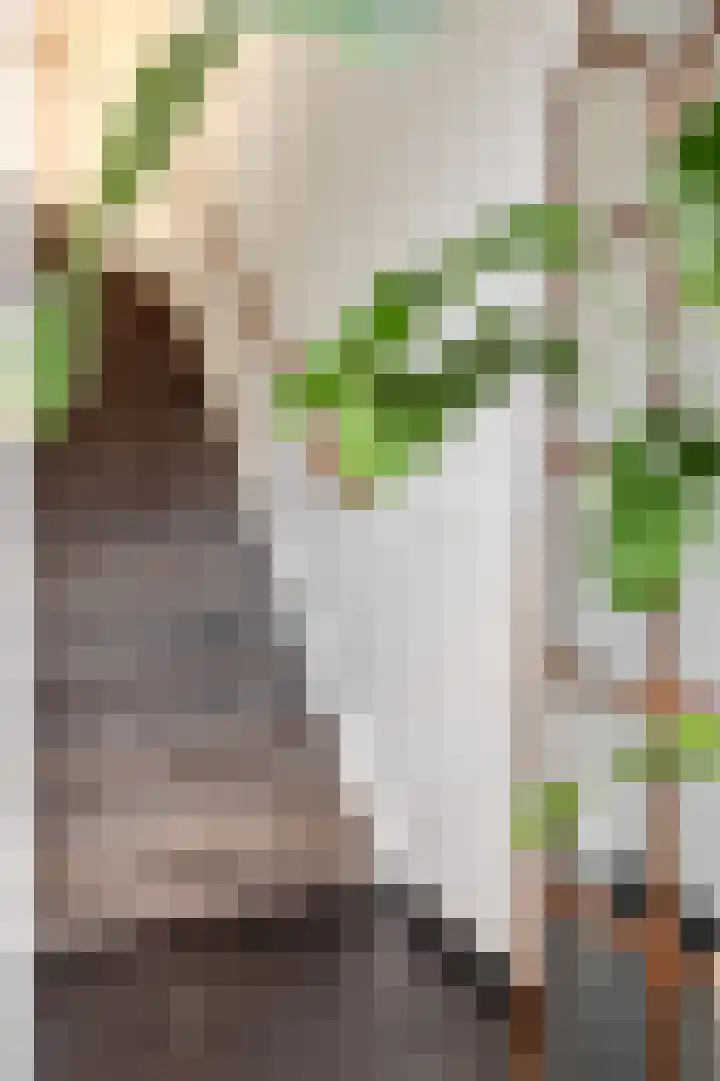 Peelven 36 Deurne thumbnail 17