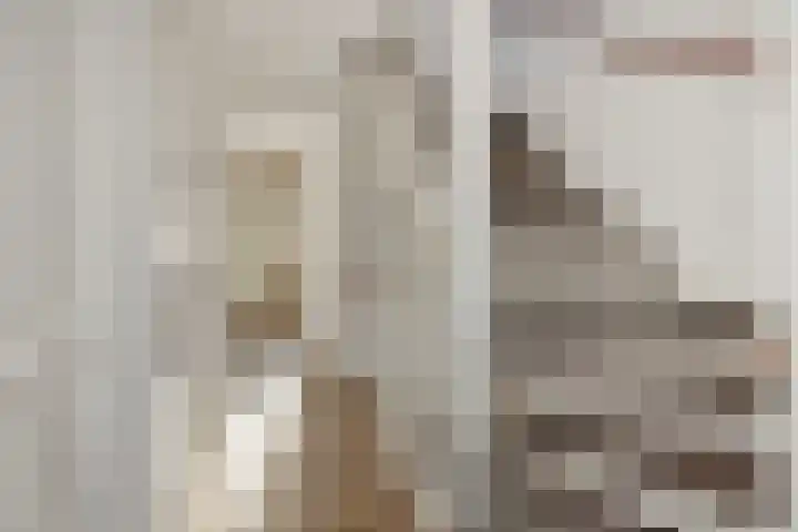 Peelven 36 Deurne thumbnail 18