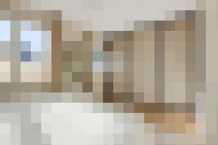 Peelven 36 Deurne thumbnail 20