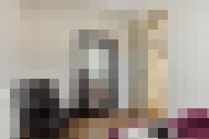 Peelven 36 Deurne thumbnail 22