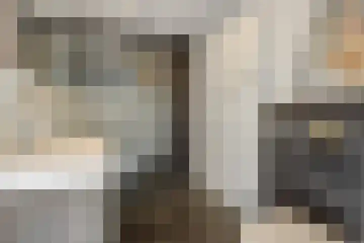 Peelven 36 Deurne thumbnail 24