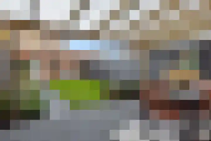 Peelven 36 Deurne thumbnail 31