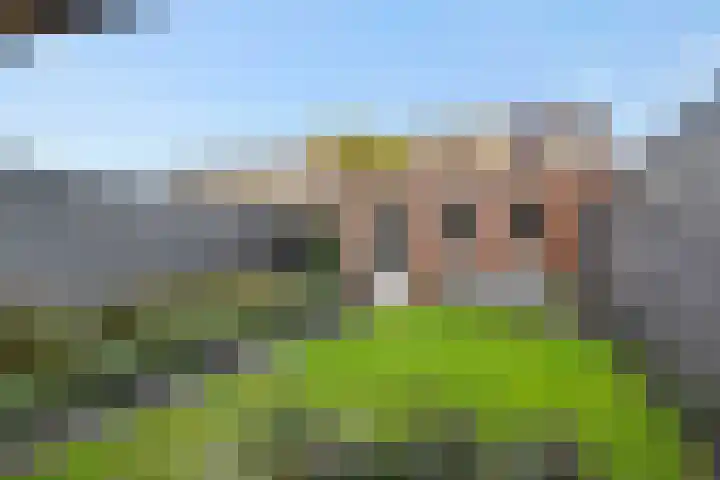 Peelven 36 Deurne thumbnail 32