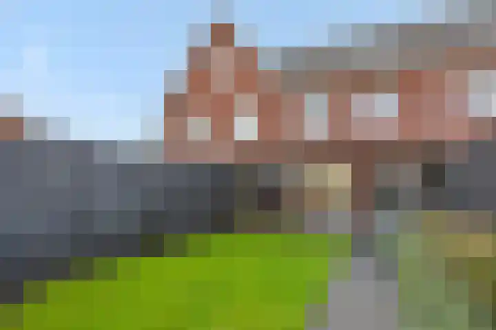 Peelven 36 Deurne thumbnail 33