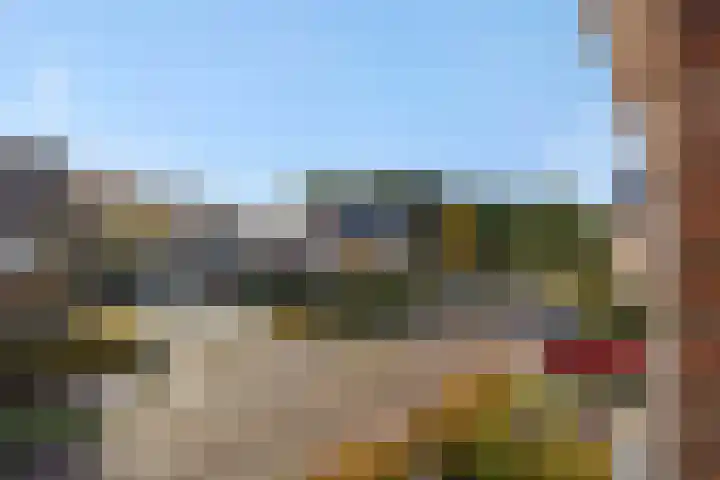 Peelven 36 Deurne thumbnail 34