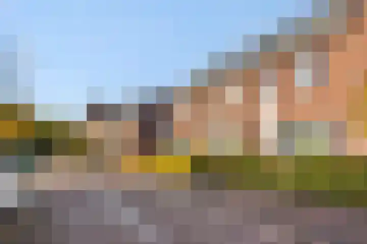 Peelven 36 Deurne thumbnail 37