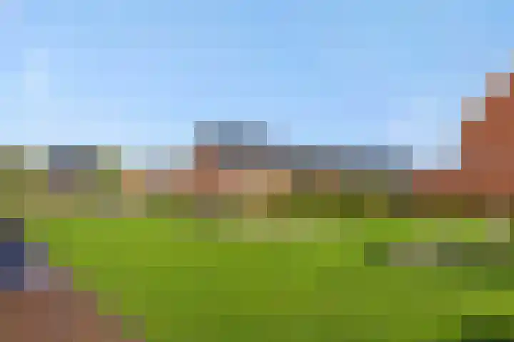 Peelven 36 Deurne thumbnail 39
