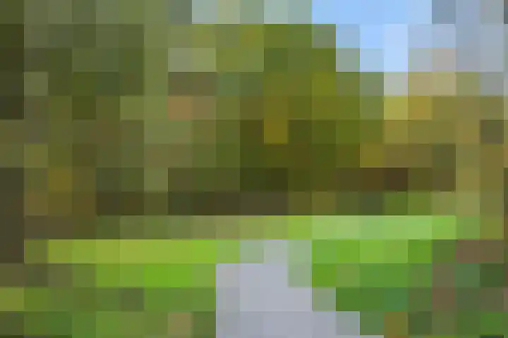 Peelven 36 Deurne thumbnail 40