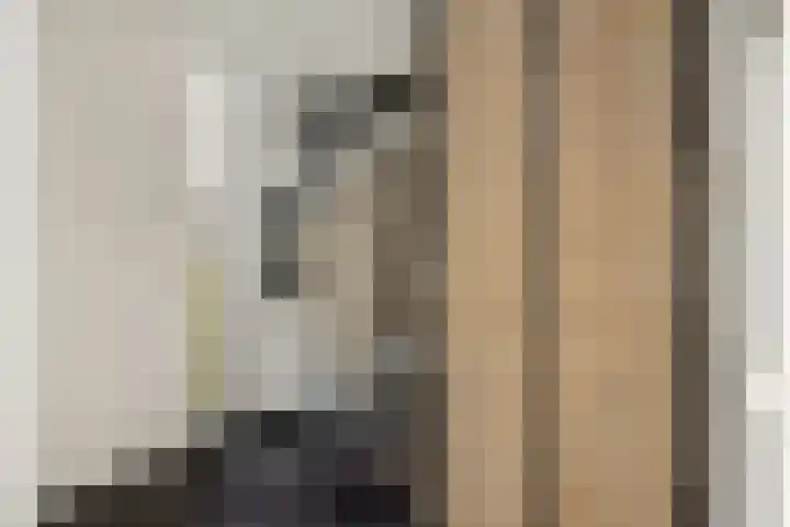 Peelven 36 Deurne thumbnail 6