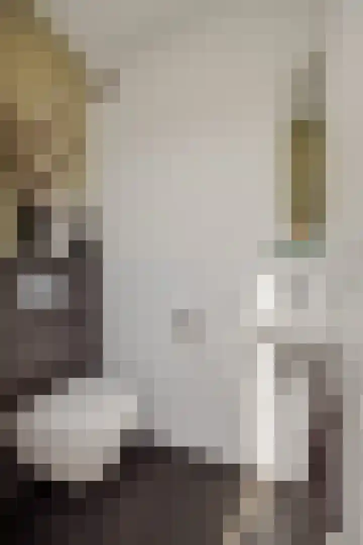 Peelven 36 Deurne thumbnail 8