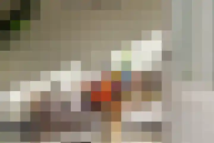 Peelven 36 Deurne thumbnail 9