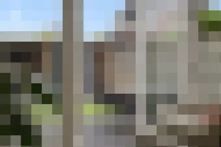 Peelven 8 a Deurne thumbnail 12