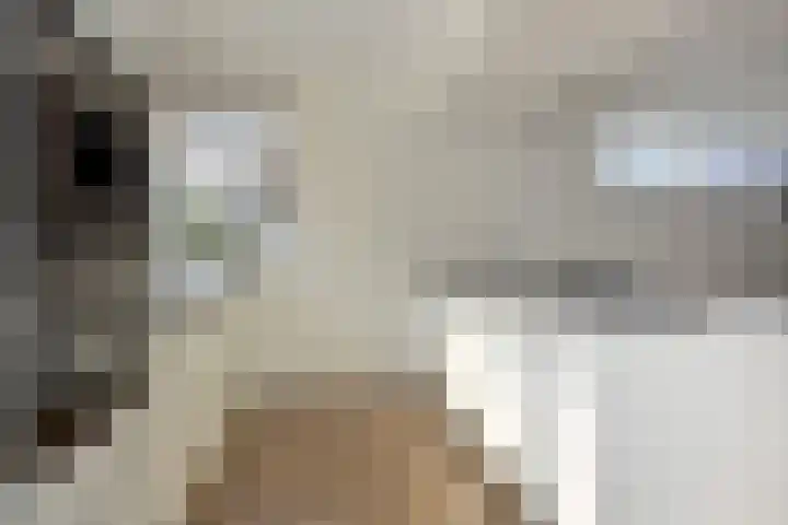 Peelven 8 a Deurne thumbnail 16