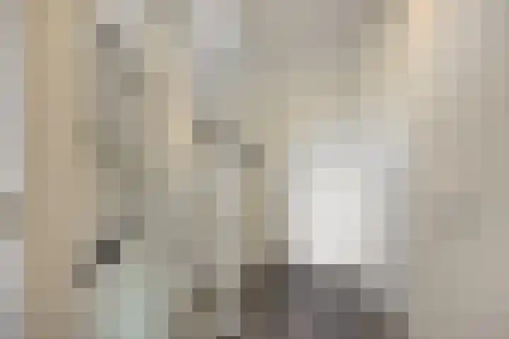 Peelven 8 a Deurne thumbnail 18
