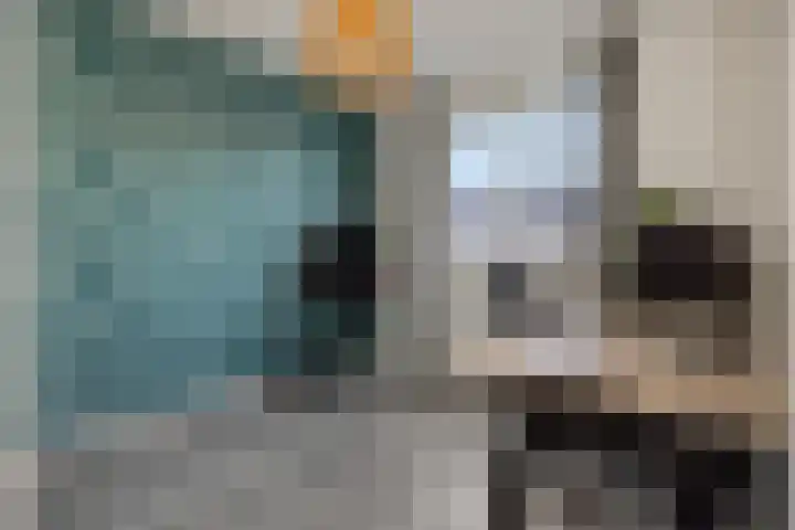 Peelven 8 a Deurne thumbnail 28