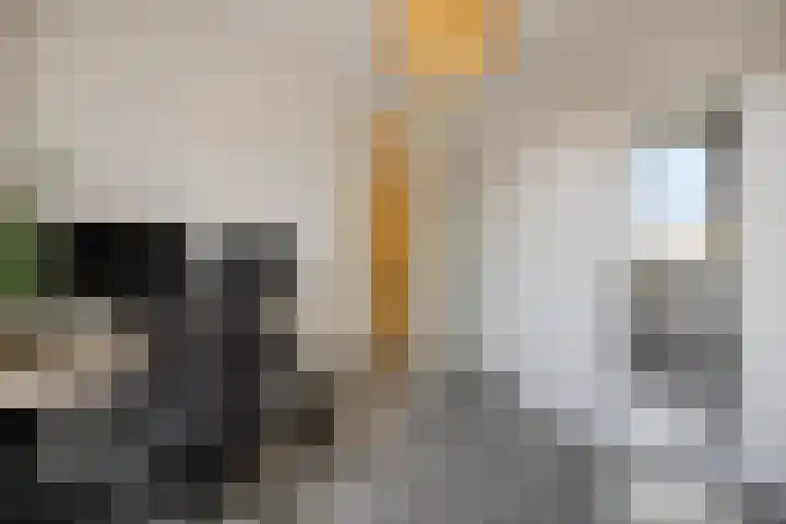 Peelven 8 a Deurne thumbnail 29