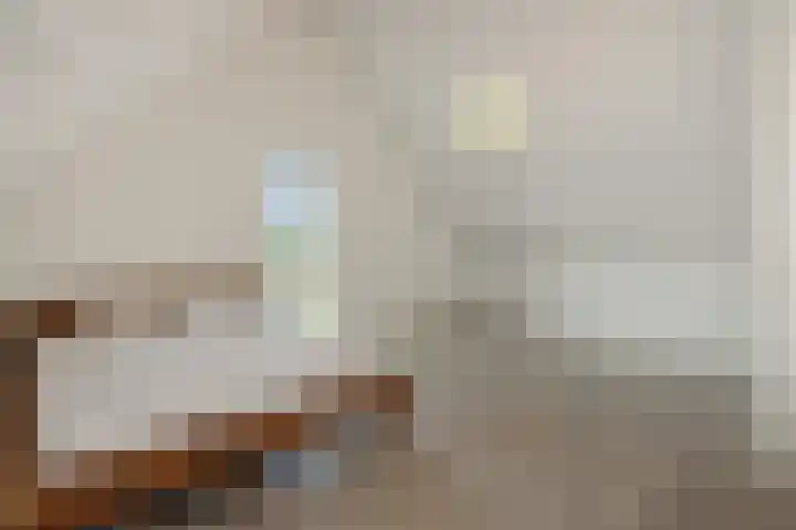 Peelven 8 a Deurne thumbnail 31
