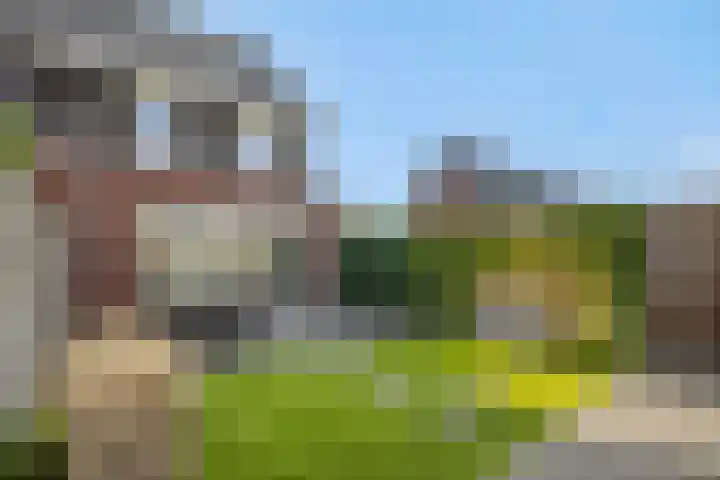 Peelven 8 a Deurne thumbnail 32