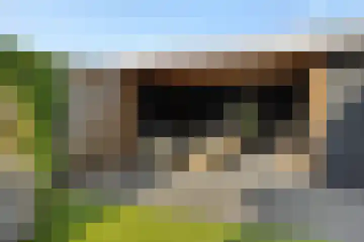 Peelven 8 a Deurne thumbnail 36