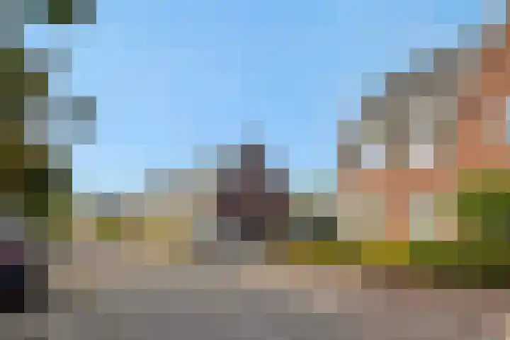 Peelven 8 a Deurne thumbnail 38