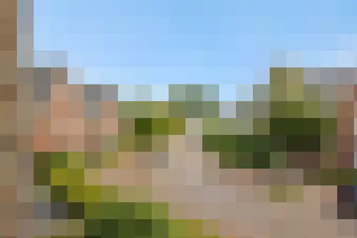 Peelven 8 a Deurne thumbnail 41