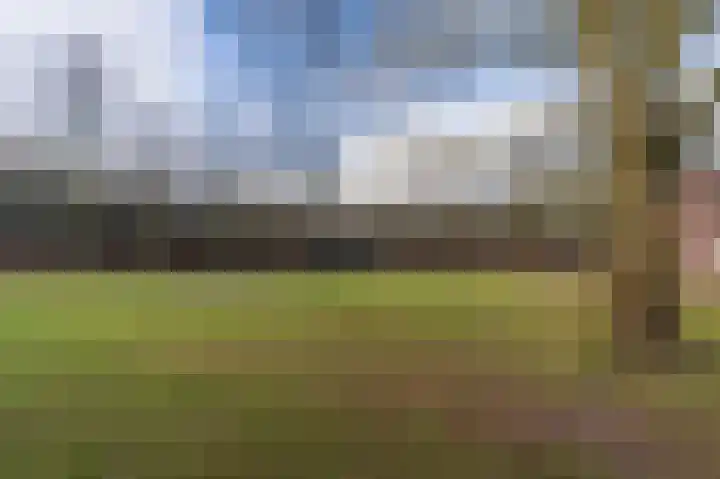 Peelweg 16 Ysselsteyn thumbnail 10