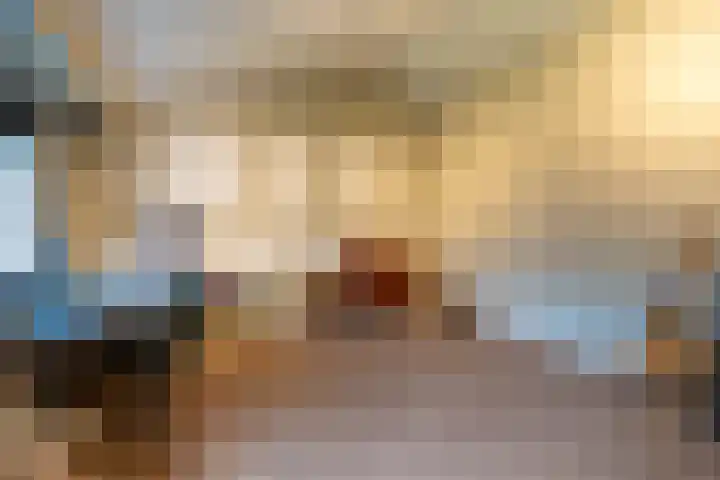 Peelweg 16 Ysselsteyn thumbnail 101
