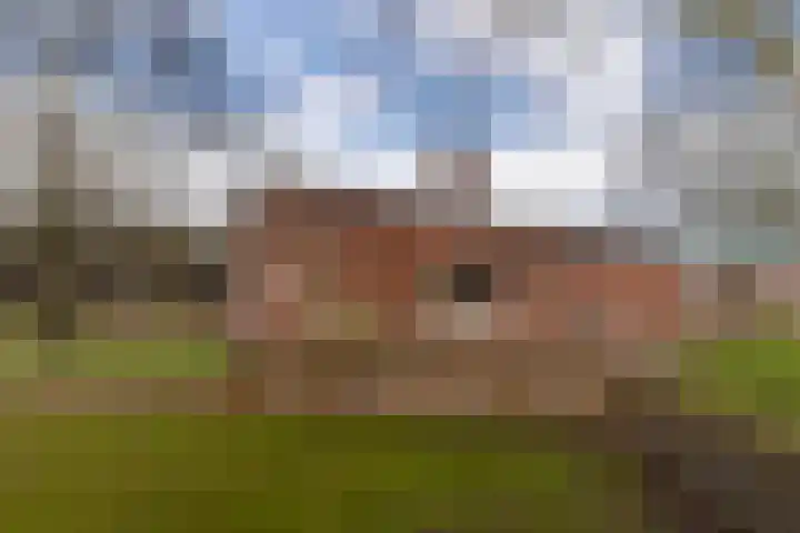 Peelweg 16 Ysselsteyn thumbnail 11