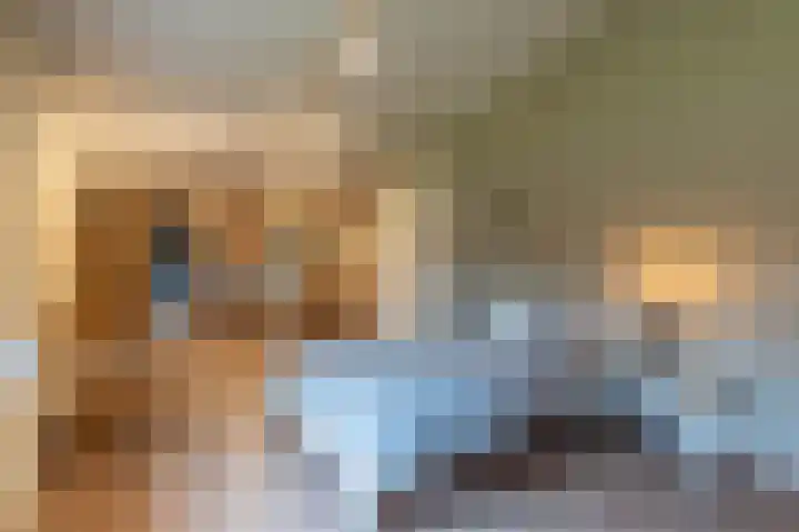 Peelweg 16 Ysselsteyn thumbnail 110