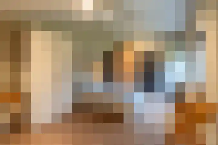 Peelweg 16 Ysselsteyn thumbnail 111