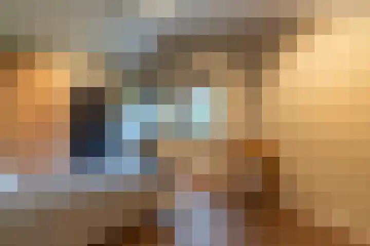 Peelweg 16 Ysselsteyn thumbnail 112