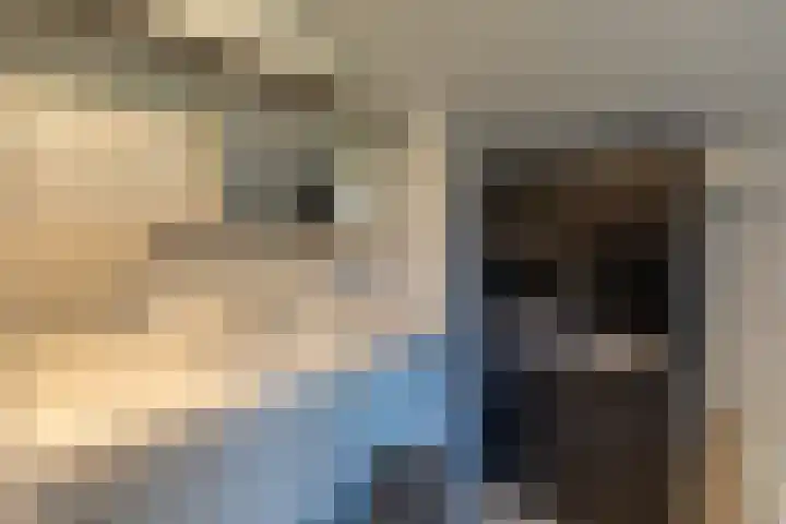 Peelweg 16 Ysselsteyn thumbnail 115
